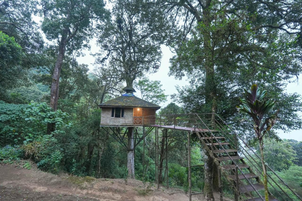 Nature Zone Jungle Resort Муннар Екстер'єр фото